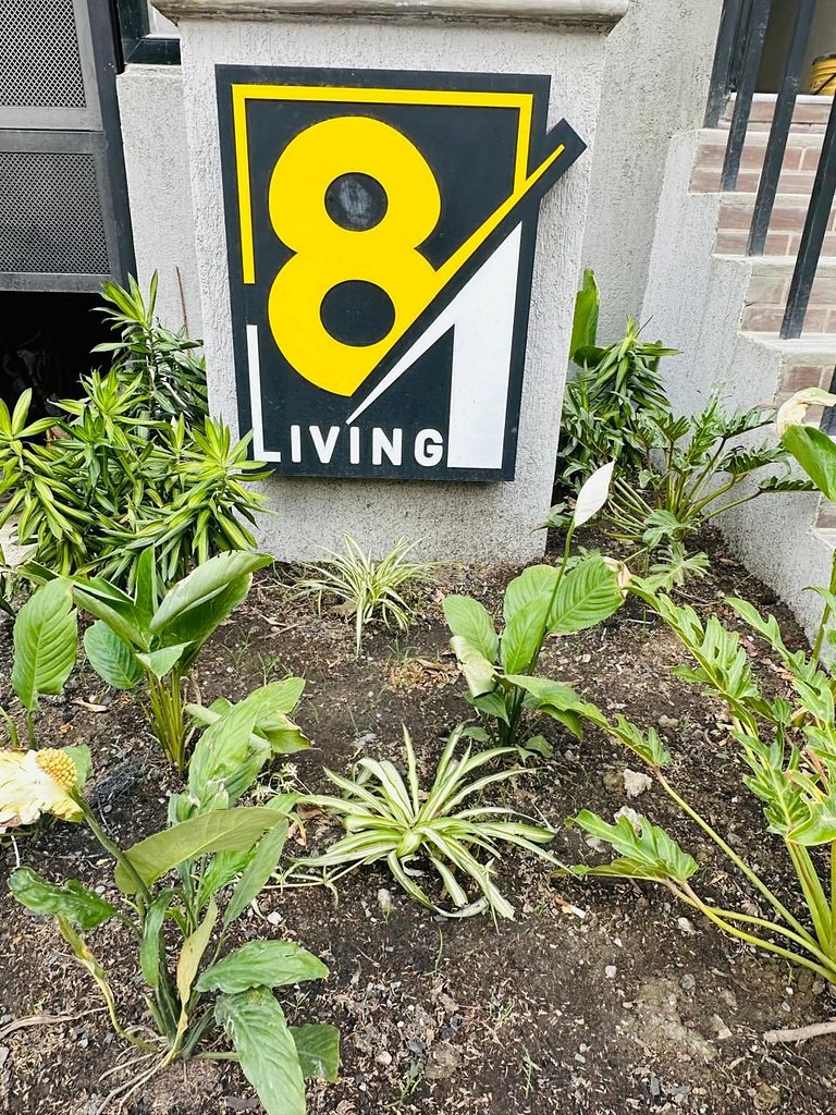 81 Living
